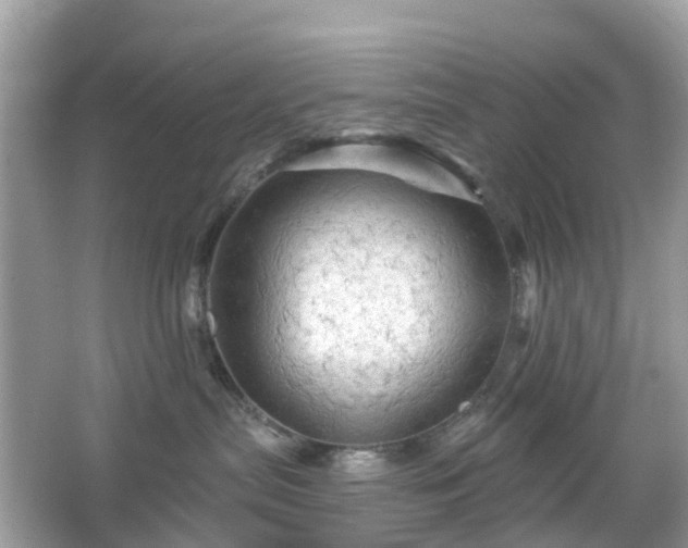 X0000066120287200603131336