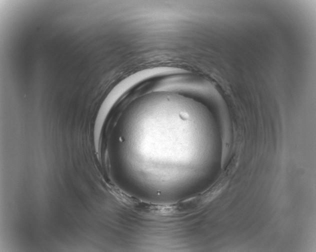 X0000066120288200603131336