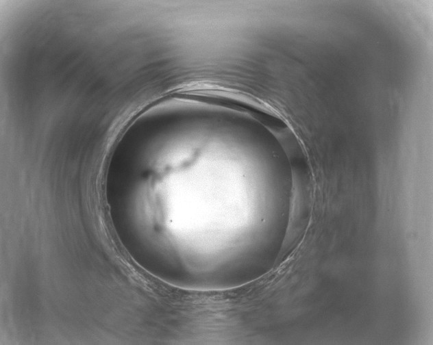 X0000066120289200603131335