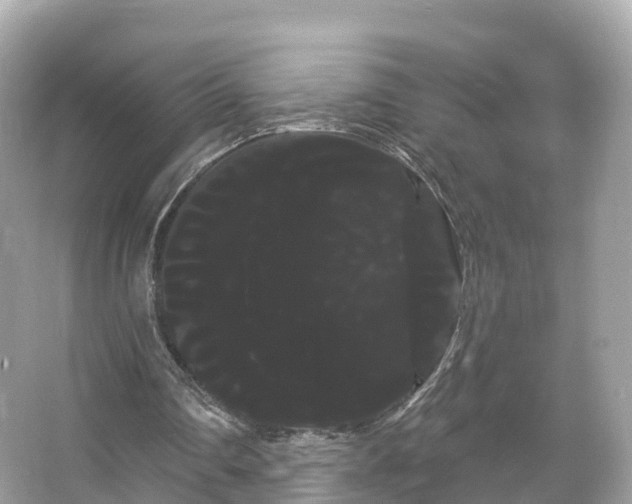 X0000066120290200603131335