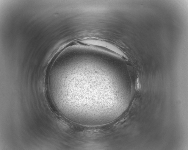 X0000066120291200603131335