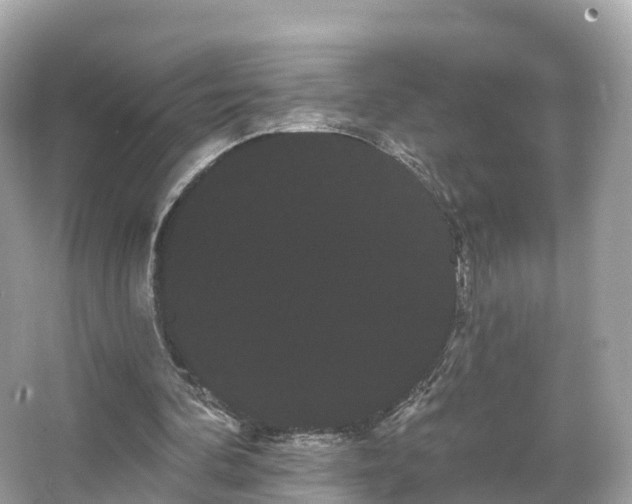 X0000066120292200603131335