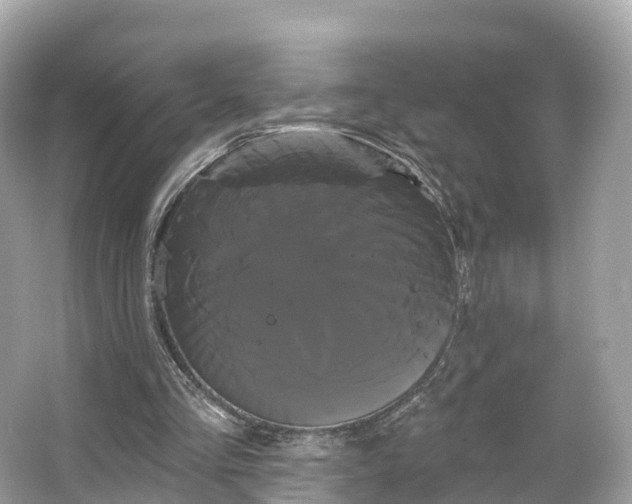 X0000066120293200603131335