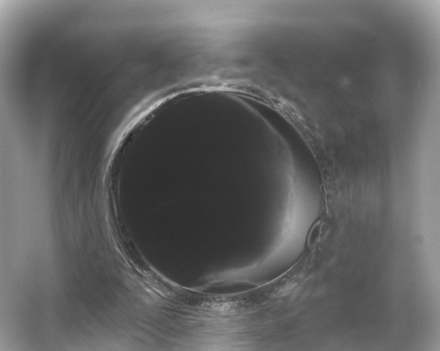 X0000066120295200603131335