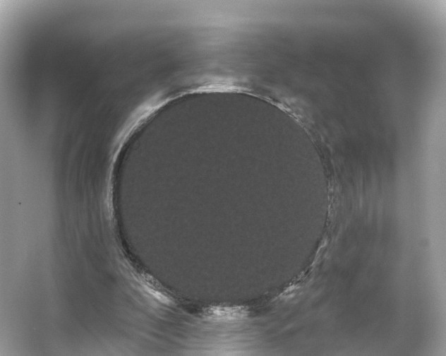 X0000066120296200603131335