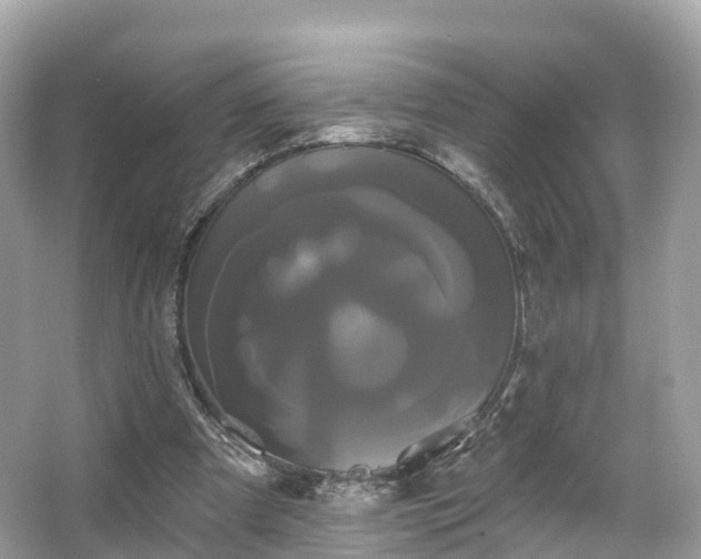 X0000066120297200603131335