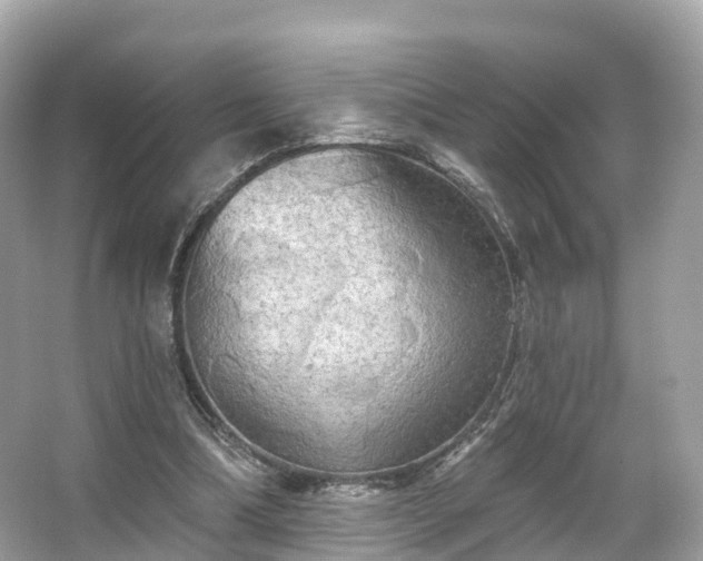 X0000066120298200603131335