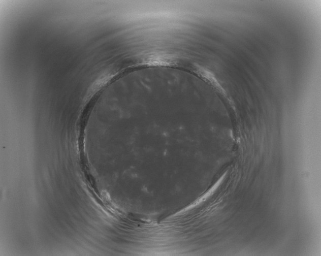 X0000066120299200603131335