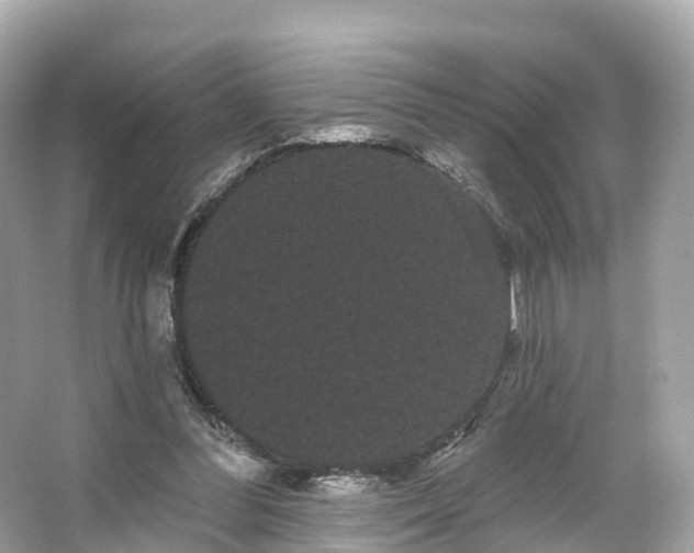 X0000066120300200603131335