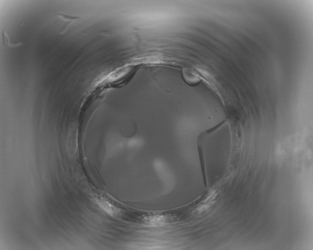 X0000066120301200603131335