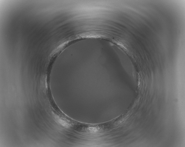 X0000066120302200603131335