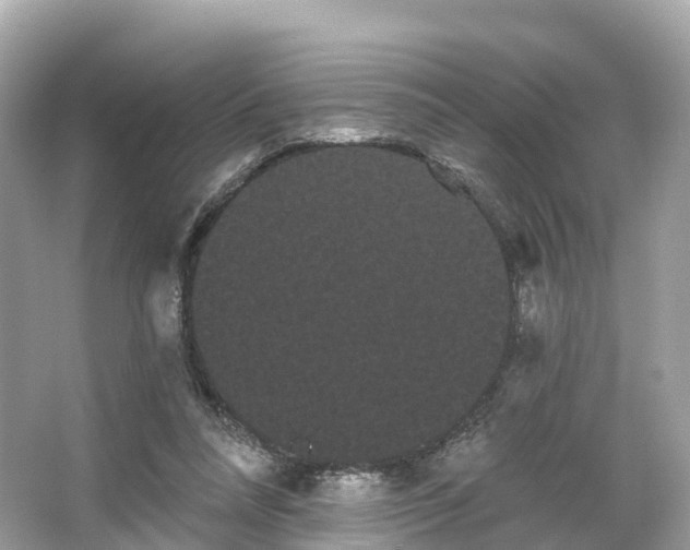 X0000066120304200603131335