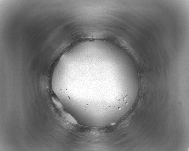 X0000066120305200603131335