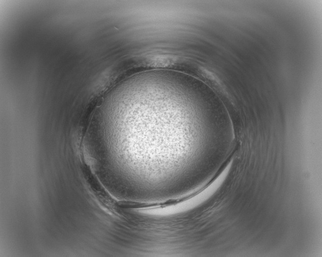 X0000066120307200603131335