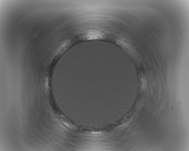 X0000066120308200603131335