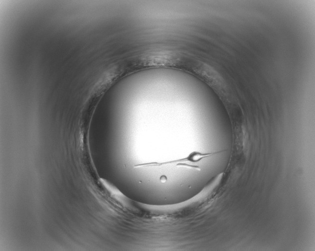 X0000066120310200603131335