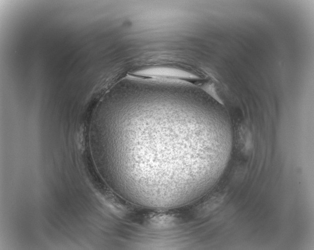 X0000066120311200603131335