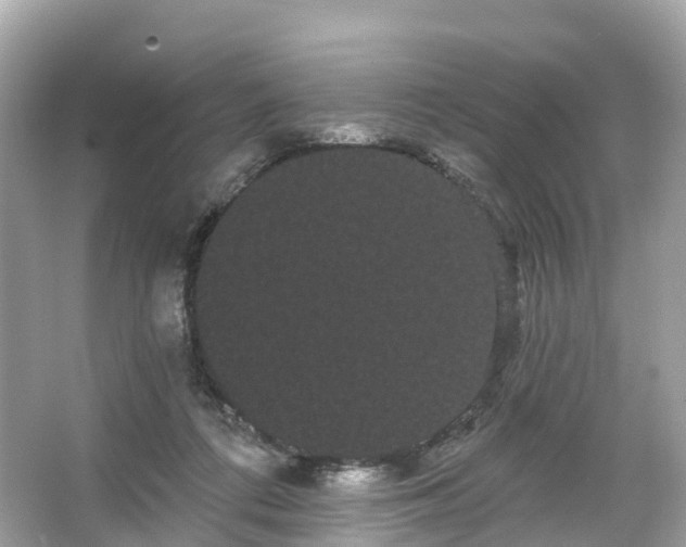 X0000066120312200603131335