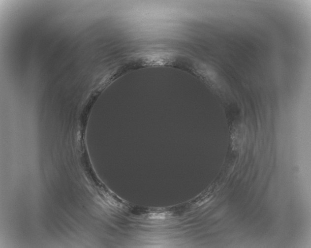 X0000066120314200603131335