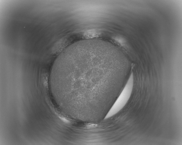 X0000066120315200603131335