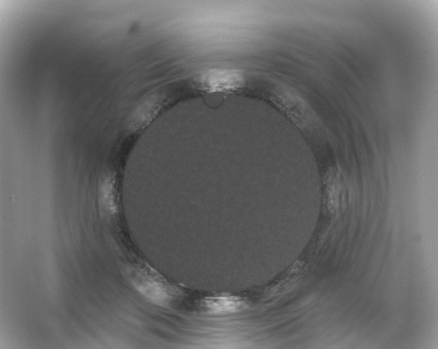 X0000066120316200603131335