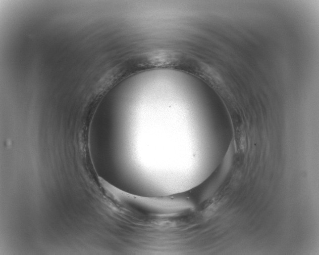 X0000066120317200603131335