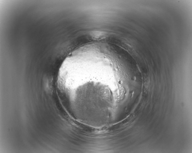 X0000066120319200603131335