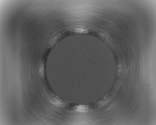 X0000066120320200603131335