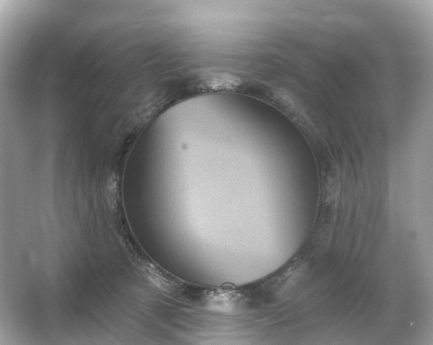 X0000066120321200603131335