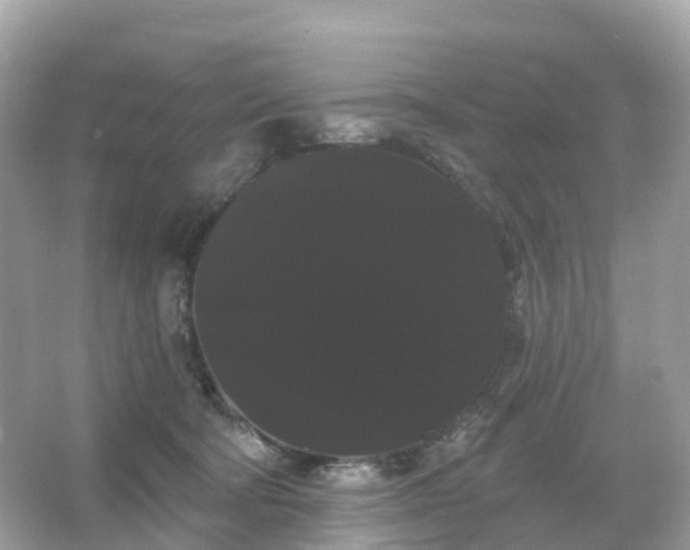 X0000066120322200603131335