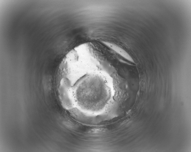 X0000066120323200603131335