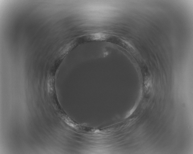 X0000066120325200603131335