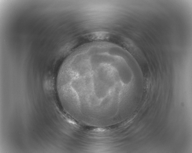 X0000066120326200603131335