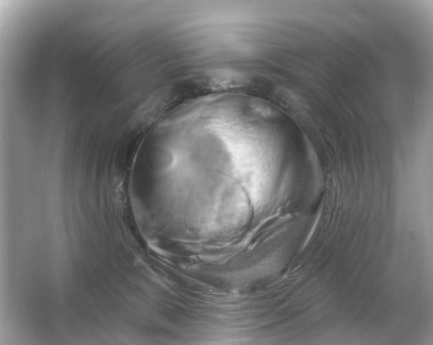 X0000066120327200603131335