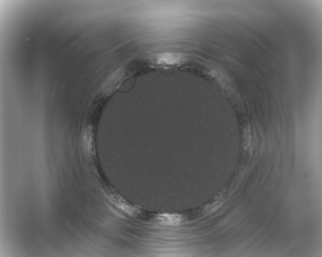 X0000066120328200603131335