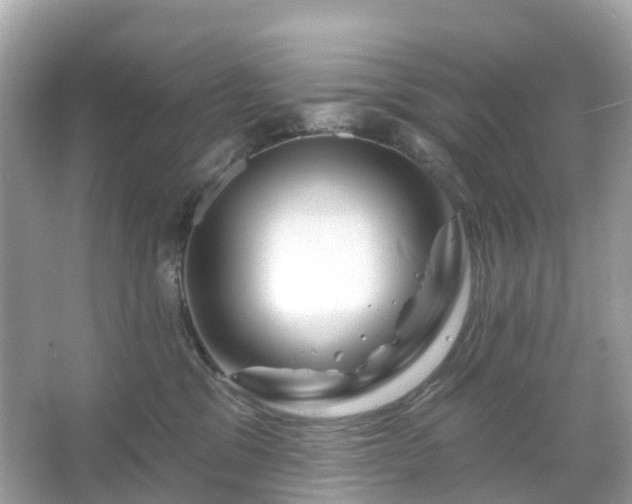 X0000066120329200603131335