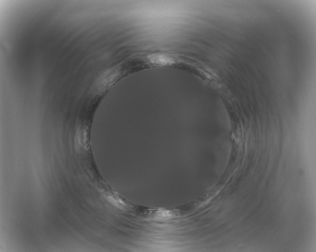 X0000066120330200603131335