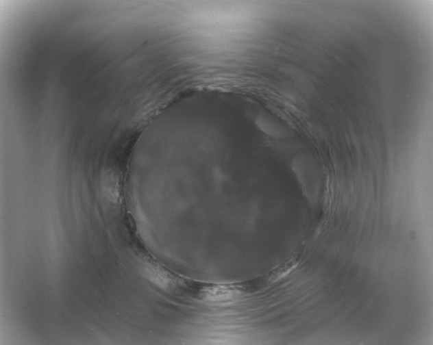 X0000066120331200603131335