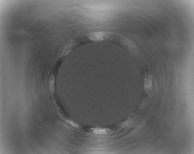 X0000066120332200603131334