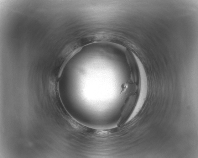 X0000066120333200603131334