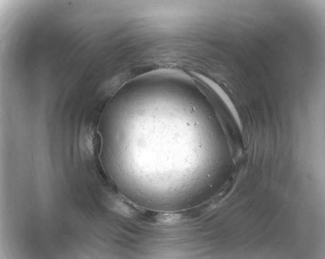 X0000066120334200603131334