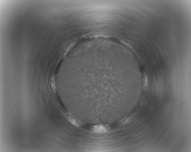 X0000066120335200603131334