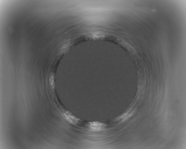 X0000066120336200603131334