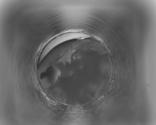 X0000066120337200603131334