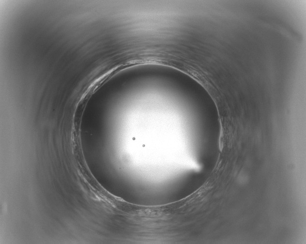 X0000066120338200603131334