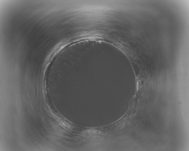 X0000066120339200603131334