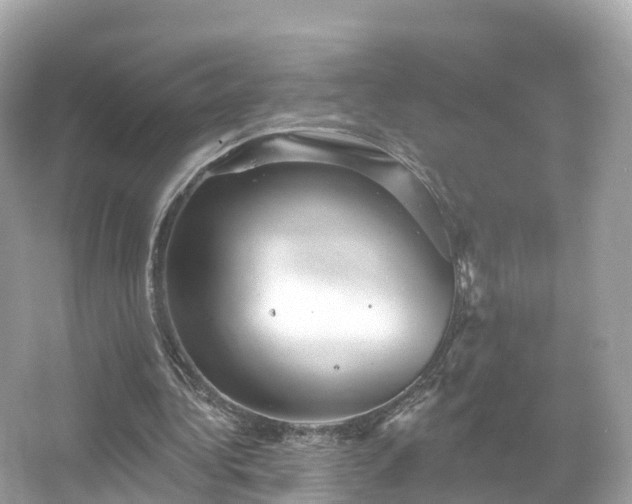 X0000066120340200603131334