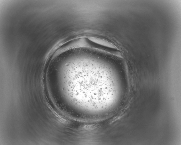 X0000066120341200603131334