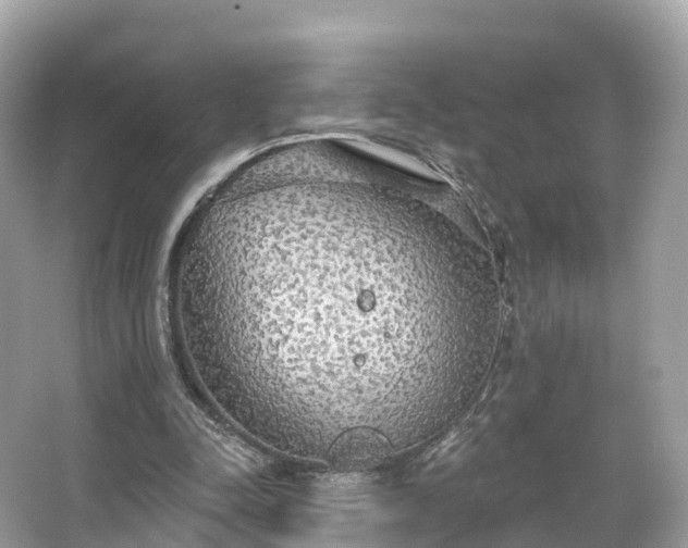 X0000066120342200603131334