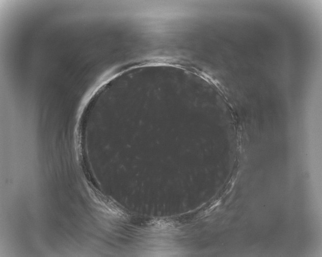 X0000066120343200603131334